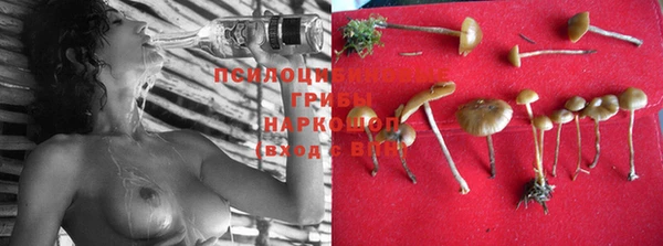 винт Аркадак