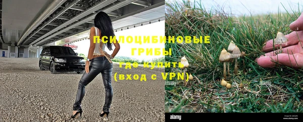 прущая мука Армянск