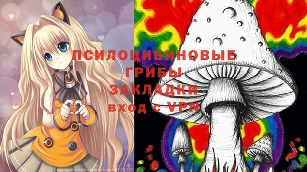 винт Аркадак