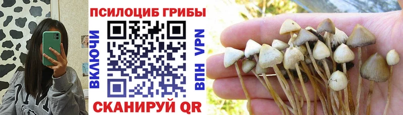 Псилоцибиновые грибы GOLDEN TEACHER  Талдом 