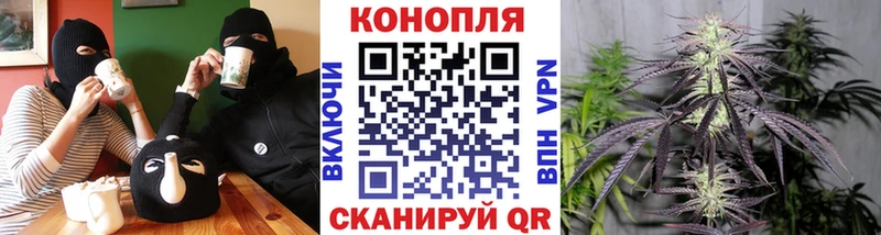 Канабис Ganja  Талдом 